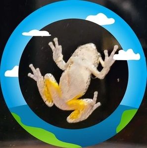 Meet your Posher, Diane caywood